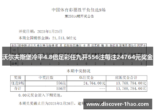 沃尔夫斯堡冷平4.8倍足彩任九开556注每注24764元奖金